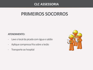 CLC ASSESSORIA 
PRIMEIROS SOCORROS 
ATENDIMENTO: 
- Laveo local da picada comágua e sabão 
- Aplique compressa fria sobre a lesão 
- Transporte ao hospital 
 