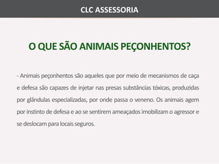 CLC ASSESSORIA 
O QUE SÃO ANIMAIS PEÇONHENTOS? 
- Animais peçonhentos são aqueles que pormeio demecanismos de caça 
e defesa são capazes de injetar nas presas substâncias tóxicas, produzidas 
por glândulas especializadas, por onde passa o veneno. Os animais agem 
por instinto de defesa e ao se sentiremameaçados imobilizamo agressor e 
se deslocampara locais seguros. 
 