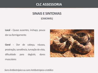 CLC ASSESSORIA 
SINAIS E SINTOMAS 
(CASCAVEL) 
Local - Quase ausentes, inchaço, pouca 
dorou formigamento 
Geral - Dor de cabeça, náusea, 
prostração, sonolência, turvaçãode vista, 
dificuldade para deglutir, dores 
musculares 
Soro Antibotrópico ou soro Antibotrópico-crotálico 
 