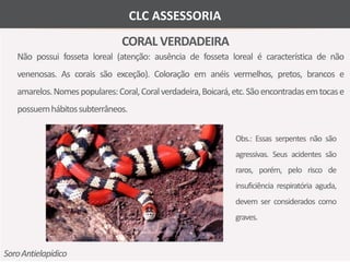 CORAL VERDADEIRA 
Não possui fosseta loreal (atenção: ausência de fosseta loreal é característica de não 
venenosas. As corais são exceção). Coloração em anéis vermelhos, pretos, brancos e 
amarelos.Nomespopulares:Coral, Coral verdadeira,Boicará, etc. Sãoencontradasemtocas e 
possuemhábitos subterrâneos. 
Soro Antielapídico 
Obs.: Essas serpentes não são 
agressivas. Seus acidentes são 
raros, porém, pelo risco de 
insuficiência respiratória aguda, 
devem ser considerados como 
graves. 
CLC ASSESSORIA 
 