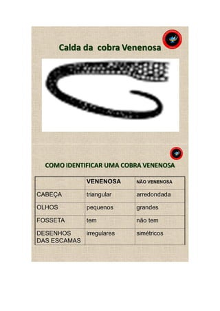 Animais peçonhentos