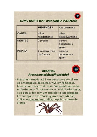 Animais peçonhentos