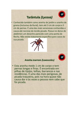 Animais peçonhentos
