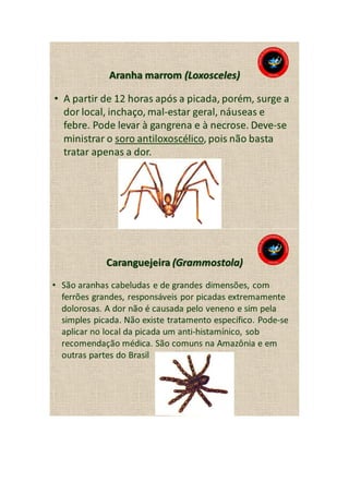 Animais peçonhentos