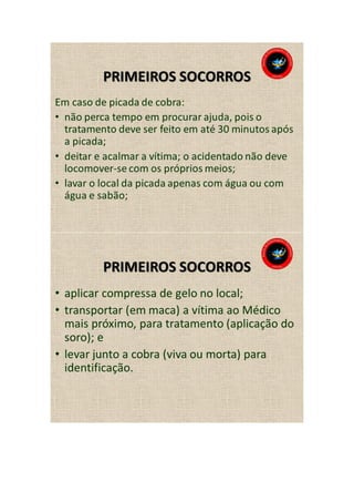 Animais peçonhentos