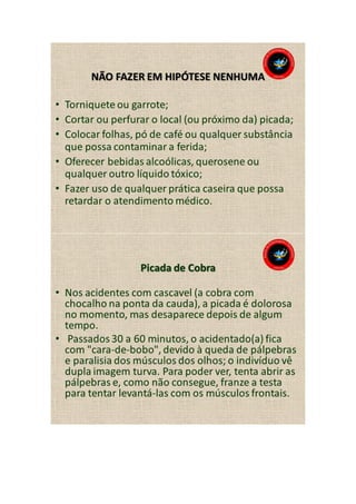 Animais peçonhentos