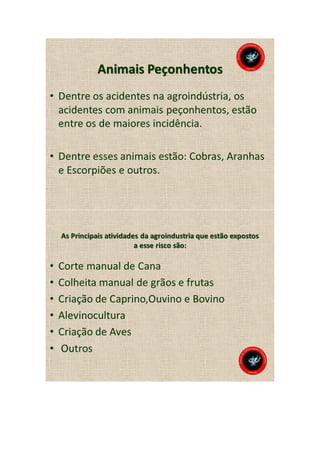 Animais peçonhentos