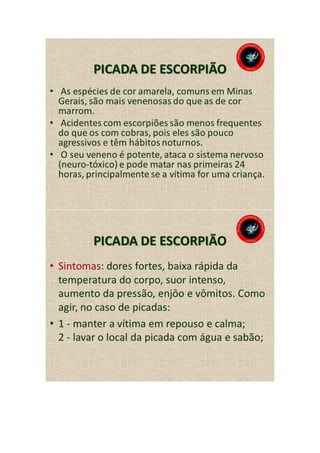 Animais peçonhentos