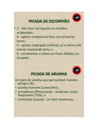 Animais peçonhentos