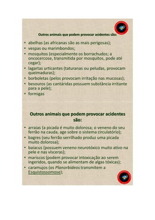 Animais peçonhentos