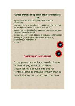 Animais peçonhentos