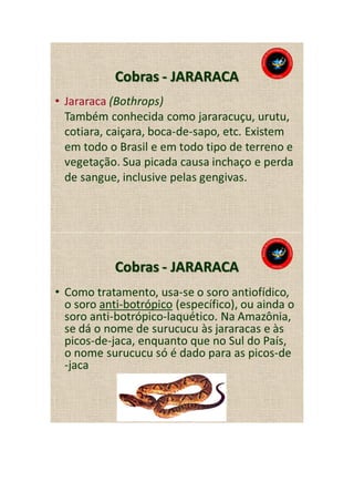 Animais peçonhentos