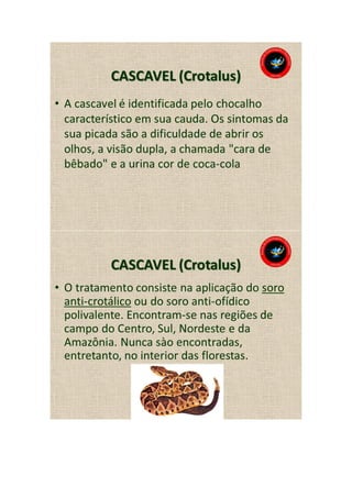 Animais peçonhentos