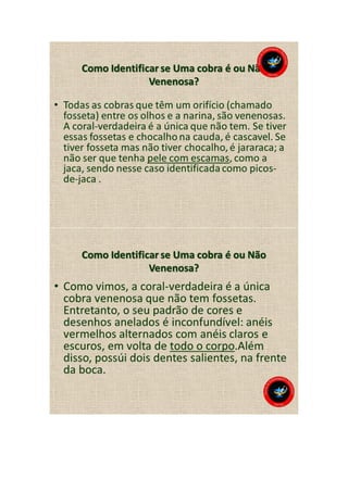 Animais peçonhentos