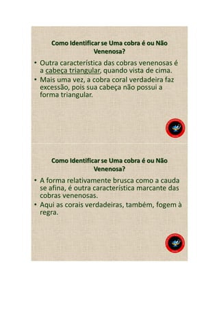 Animais peçonhentos