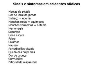Sinais e sintomas em acidentes ofídicos
Marcas da picada
Dor no local da picada
Inchaço = edema
Manchas roxas = equimoses
Manchas vermelhas = eritema
Hemorragia
Sudorese
Urina escura
Febre
Calafrios
Náusea
Perturbações visuais
Queda das pálpebras
Dor de cabeça
Convulsões
Dificuldade respiratória
 