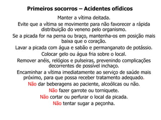 Primeiros socorros – Acidentes ofídicos
Manter a vítima deitada.
Evite que a vítima se movimente para não favorecer a rápida
distribuição do veneno pelo organismo.
Se a picada for na perna ou braço, mantenha-os em posição mais
baixa que o coração.
Lavar a picada com água e sabão e permanganato de potássio.
Colocar gelo ou água fria sobre o local.
Remover anéis, relógios e pulseiras, prevenindo complicações
decorrentes de possível inchaço.
Encaminhar a vítima imediatamente ao serviço de saúde mais
próximo, para que possa receber tratamento adequado.
Não dar beberagens ao paciente, alcoólicas ou não.
Não fazer garrote ou torniquete.
Não cortar ou perfurar o local da picada.
Não tentar sugar a peçonha.
 