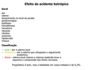 Efeito do acidente botrópico
Geral
dor
edema
sangramento no local da picada
gengivorragias
epistaxes
hematêmese
hematúria
náuseas
vômitos
sudorese
hipotensão
choque
Classificação
- Leve - dor e edema local
- Moderada - dor e edema que ultrapassa o seguimento
anatômico.
- Grave - edema local intenso e extenso podendo levar a
isquemia e compressão dos feixes nervosos.
Prognóstico é bom, mas a letalidade em casos tratados é de 0,3%.
 
