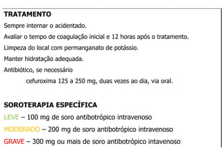 TRATAMENTO
Sempre internar o acidentado.
Avaliar o tempo de coagulação inicial e 12 horas após o tratamento.
Limpeza do local com permanganato de potássio.
Manter hidratação adequada.
Antibiótico, se necessário
cefuroxima 125 a 250 mg, duas vezes ao dia, via oral.
SOROTERAPIA ESPECÍFICA
LEVE – 100 mg de soro antibotrópico intravenoso
MODERADO – 200 mg de soro antibotrópico intravenoso
GRAVE – 300 mg ou mais de soro antibotrópico intavenoso
 