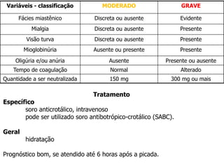Variáveis - classificação MODERADO GRAVE
Fácies miastênico Discreta ou ausente Evidente
Mialgia Discreta ou ausente Presente
Visão turva Discreta ou ausente Presente
Mioglobinúria Ausente ou presente Presente
Oligúria e/ou anúria Ausente Presente ou ausente
Tempo de coagulação Normal Alterado
Quantidade a ser neutralizada 150 mg 300 mg ou mais
Tratamento
Específico
soro anticrotálico, intravenoso
pode ser utilizado soro antibotrópico-crotálico (SABC).
Geral
hidratação
Prognóstico bom, se atendido até 6 horas após a picada.
 