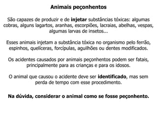 Animais peçonhentos
São capazes de produzir e de injetar substâncias tóxicas: algumas
cobras, alguns lagartos, aranhas, escorpiões, lacraias, abelhas, vespas,
algumas larvas de insetos...
Esses animais injetam a substância tóxica no organismo pelo ferrão,
espinhos, quelíceras, forcípulas, aguilhões ou dentes modificados.
Os acidentes causados por animais peçonhentos podem ser fatais,
principalmente para as crianças e para os idosos.
O animal que causou o acidente deve ser identificado, mas sem
perda de tempo com esse procedimento.
Na dúvida, considerar o animal como se fosse peçonhento.
 
