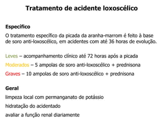 Tratamento de acidente loxoscélico
Específico
O tratamento específico da picada da aranha-marrom é feito à base
de soro anti-loxoscélico, em acidentes com até 36 horas de evolução.
Leves – acompanhamento clínico até 72 horas após a picada
Moderados – 5 ampolas de soro anti-loxoscélico + prednisona
Graves – 10 ampolas de soro anti-loxoscélico + prednisona
Geral
limpeza local com permanganato de potássio
hidratação do acidentado
avaliar a função renal diariamente
 