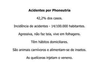 Acidentes por Phoneutria
42,2% dos casos.
Incidência de acidentes - 14/100.000 habitantes.
Agressiva, não faz teia, vive em folhagens.
Têm hábitos domiciliares.
São animais carnívoros e alimentam-se de insetos.
As quelíceras injetam o veneno.
 