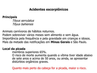 Acidentes escorpiônicos
Principais
Tityus serrulatus
Tityus bahiensis
Animais carnívoros de hábitos noturnos.
Podem sobreviver vários meses sem alimento e sem água.
Importância pela frequência e pela gravidade em crianças e idosos.
Mais da metade das notificações em Minas Gerais e São Paulo.
Local da picada
membros superiores 65%.
O risco de morte aumenta quando a vítima tiver idade abaixo
de sete anos e acima de 50 anos, ou ainda, se apresentar
distúrbios orgânicos graves.
Quanto mais perto da cabeça for a picada, maior o risco.
 