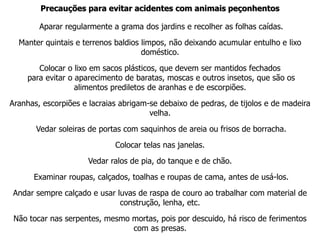 Precauções para evitar acidentes com animais peçonhentos
Aparar regularmente a grama dos jardins e recolher as folhas caídas.
Manter quintais e terrenos baldios limpos, não deixando acumular entulho e lixo
doméstico.
Colocar o lixo em sacos plásticos, que devem ser mantidos fechados
para evitar o aparecimento de baratas, moscas e outros insetos, que são os
alimentos prediletos de aranhas e de escorpiões.
Aranhas, escorpiões e lacraias abrigam-se debaixo de pedras, de tijolos e de madeira
velha.
Vedar soleiras de portas com saquinhos de areia ou frisos de borracha.
Colocar telas nas janelas.
Vedar ralos de pia, do tanque e de chão.
Examinar roupas, calçados, toalhas e roupas de cama, antes de usá-los.
Andar sempre calçado e usar luvas de raspa de couro ao trabalhar com material de
construção, lenha, etc.
Não tocar nas serpentes, mesmo mortas, pois por descuido, há risco de ferimentos
com as presas.
 