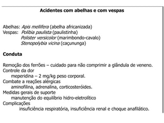 Acidentes com abelhas e com vespas
Abelhas: Apis mellifera (abelha africanizada)
Vespas: Polibia paulista (paulistinha)
Polister versicolor (marimbondo-cavalo)
Stenopolybia vicina (caçununga)
Conduta
Remoção dos ferrões – cuidado para não comprimir a glândula de veneno.
Controle da dor
meperidina – 2 mg/kg peso corporal.
Combate a reações alérgicas
aminofilina, adrenalina, corticosteróides.
Medidas gerais de suporte
manutenção do equilíbrio hidro-eletrolítico
Complicações
insuficiência respiratória, insuficiência renal e choque anafilático.
 