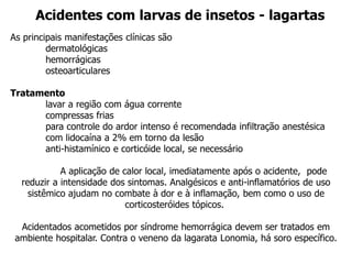As principais manifestações clínicas são
dermatológicas
hemorrágicas
osteoarticulares
Tratamento
lavar a região com água corrente
compressas frias
para controle do ardor intenso é recomendada infiltração anestésica
com lidocaína a 2% em torno da lesão
anti-histamínico e corticóide local, se necessário
A aplicação de calor local, imediatamente após o acidente, pode
reduzir a intensidade dos sintomas. Analgésicos e anti-inflamatórios de uso
sistêmico ajudam no combate à dor e à inflamação, bem como o uso de
corticosteróides tópicos.
Acidentados acometidos por síndrome hemorrágica devem ser tratados em
ambiente hospitalar. Contra o veneno da lagarata Lonomia, há soro específico.
Acidentes com larvas de insetos - lagartas
 