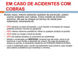 EM CASO DE ACIDENTES COM
COBRAS
Muitas vezes, mesmo adotando cuidados de prevenção, podem
ocorrer acidentes com cobras. Como medida de primeiros
socorros, até que se chegue ao serviço de saúde para
tratamento, recomenda-se:
 NÃO amarrar ou fazer torniquetes, o que impede a circulação do sangue,
podendo produzir necrose ou gangrena.
 NÃO colocar nenhuma substância, folhas ou qualquer produto na picada.
 NÃO cortar ou chupar o local da picada.
 NÃO dar bebida alcoólica ou querosene ao acidentado.
 Manter o acidentado em REPOUSO, evitando que ele ande, corra ou se
locomova, o que facilita a absorção do veneno. No caso de picadas em
braços ou pernas, é importante mantê-los em POSIÇÃO MAIS ELEVADA.
 Levar o acidentado para o centro de tratamento mais próximo, para receber
soro próprio (substância que neutraliza o veneno).
 