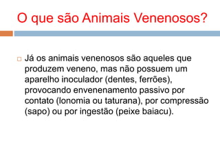 O que são Animais Venenosos?
 Já os animais venenosos são aqueles que
produzem veneno, mas não possuem um
aparelho inoculador (dentes, ferrões),
provocando envenenamento passivo por
contato (lonomia ou taturana), por compressão
(sapo) ou por ingestão (peixe baiacu).
 