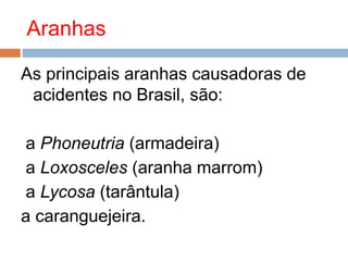 Aranhas
As principais aranhas causadoras de
acidentes no Brasil, são:
a Phoneutria (armadeira)
a Loxosceles (aranha marrom)
a Lycosa (tarântula)
a caranguejeira.
 