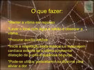 O que fazer:
*Manter a vítima em repouso
*Lavar o local com água e sabão e observar a
vítima.
*Procurar auxílio médico .
*Inicie a respiração boca-máscara e massagem
cardíaca externa se a vítima apresentar
dilatação da pupila e ausência de pulso
*Pode-se utilizar paracetamol ou dipirona para
aliviar a dor
 
