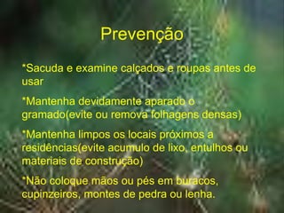 Prevenção
*Sacuda e examine calçados e roupas antes de
usar
*Mantenha devidamente aparado o
gramado(evite ou remova folhagens densas)
*Mantenha limpos os locais próximos a
residências(evite acumulo de lixo, entulhos ou
materiais de construção)
*Não coloque mãos ou pés em buracos,
cupinzeiros, montes de pedra ou lenha.
 