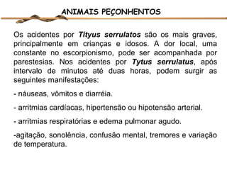 ANIMAIS PEÇONHENTOS
Os acidentes por Tityus serrulatos são os mais graves,
principalmente em crianças e idosos. A dor local, uma
constante no escorpionismo, pode ser acompanhada por
parestesias. Nos acidentes por Tytus serrulatus, após
intervalo de minutos até duas horas, podem surgir as
seguintes manifestações:
- náuseas, vômitos e diarréia.
- arritmias cardíacas, hipertensão ou hipotensão arterial.
- arritmias respiratórias e edema pulmonar agudo.
-agitação, sonolência, confusão mental, tremores e variação
de temperatura.

 