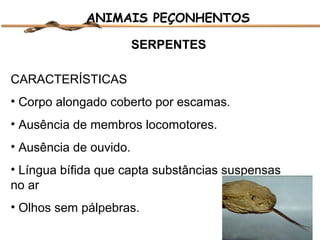 ANIMAIS PEÇONHENTOS
SERPENTES
CARACTERÍSTICAS
• Corpo alongado coberto por escamas.
• Ausência de membros locomotores.
• Ausência de ouvido.
• Língua bífida que capta substâncias suspensas
no ar
• Olhos sem pálpebras.

 