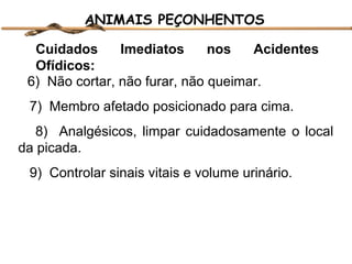 ANIMAIS PEÇONHENTOS
Cuidados
Imediatos
nos
Acidentes
Ofídicos:
6) Não cortar, não furar, não queimar.
7) Membro afetado posicionado para cima.
8) Analgésicos, limpar cuidadosamente o local
da picada.
9) Controlar sinais vitais e volume urinário.

 