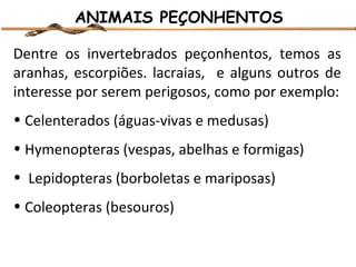 ANIMAIS PEÇONHENTOS
Dentre os invertebrados peçonhentos, temos as
aranhas, escorpiões. lacraias, e alguns outros de
interesse por serem perigosos, como por exemplo:
• Celenterados (águas-vivas e medusas)
• Hymenopteras (vespas, abelhas e formigas)
• Lepidopteras (borboletas e mariposas)
• Coleopteras (besouros)

 