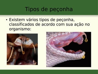 Tipos de peçonha
● Existem vários tipos de peçonha,
classificados de acordo com sua ação no
organismo:
 