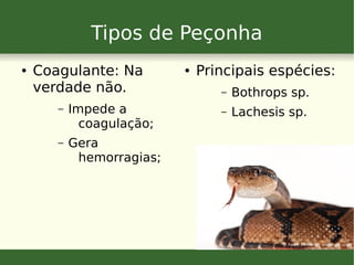 Tipos de Peçonha
● Coagulante: Na
verdade não.
– Impede a
coagulação;
– Gera
hemorragias;
● Principais espécies:
– Bothrops sp.
– Lachesis sp.
 