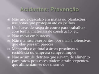  Não ande descalço em matas ou plantações,
use botas que protejam até os joelhos
 Use luvas de raspa de couro para trabalhar
com lenha, materiais de construção, etc.
 Não mexa em buracos
 Não manuseie serpentes, por mais inofensivas
que elas possam parecer
 Mantenha o quintal a áreas próximas a
residência ou empresa sempre limpos
 Não acumule detritos que sirvam de alimento
para ratos, pois esses podem atrair serpentes,
que alimentam-se dos mesmos
 
