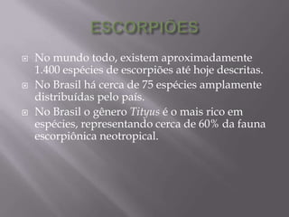  No mundo todo, existem aproximadamente
1.400 espécies de escorpiões até hoje descritas.
 No Brasil há cerca de 75 espécies amplamente
distribuídas pelo país.
 No Brasil o gênero Tityus é o mais rico em
espécies, representando cerca de 60% da fauna
escorpiônica neotropical.
 