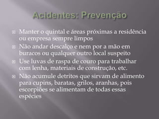  Manter o quintal e áreas próximas a residência
ou empresa sempre limpos
 Não andar descalço e nem por a mão em
buracos ou qualquer outro local suspeito
 Use luvas de raspa de couro para trabalhar
com lenha, materiais de construção, etc.
 Não acumule detritos que sirvam de alimento
para cupins, baratas, grilos, aranhas, pois
escorpiões se alimentam de todas essas
espécies
 