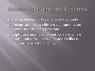  Não espremer ou sugar o local da picada
 Procure acalmar a vítima e a encaminhe ao
pronto socorro mais próximo
 Capturar o animal que causou o acidente e
levar junto com a pessoa picada facilita o
diagnóstico e o tratamento
 