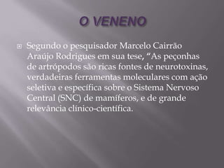  Segundo o pesquisador Marcelo Cairrão
Araújo Rodrigues em sua tese, “As peçonhas
de artrópodos são ricas fontes de neurotoxinas,
verdadeiras ferramentas moleculares com ação
seletiva e específica sobre o Sistema Nervoso
Central (SNC) de mamíferos, e de grande
relevância clínico-científica.
 