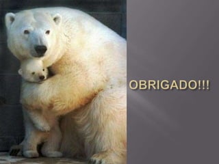 ANIMAIS+PEÇONHENTOS+AULA.ppt