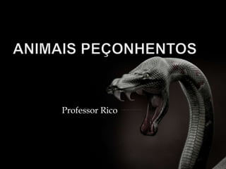 Professor Rico
 