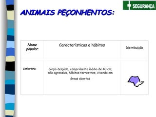 ANIMAIS PEÇONHENTOS: corpo delgado, comprimento médio de 40 cm;  não agressiva, hábitos terrestres, vivendo em  áreas abertas   Nome popular Características e hábitos Distribuição Cotiarinha   